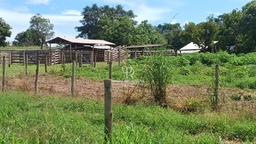 Fazenda/Sítios/Chácaras no bairro Vila Sadia, em Nossa Senhora do Livramento | Eu Corretor