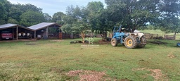 Fazenda/Sítios/Chácaras no bairro Vila Sadia, em Nossa Senhora do Livramento | Eu Corretor