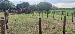 Fazenda/Sítios/Chácaras no bairro Vila Sadia, em Nossa Senhora do Livramento | Eu Corretor