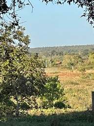 Fazenda/Sítios/Chácaras no bairro Zona rural, em Nossa Senhora do Livramento | Eu Corretor