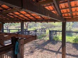 Fazenda/Sítios/Chácaras no bairro Zona rural, em Nossa Senhora do Livramento | Eu Corretor