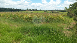 Fazenda/Sítios/Chácaras de 26000m² no bairro Área Rural De Piratininga, em Piratininga | Eu Corretor