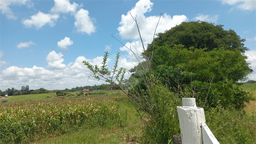 Fazenda/Sítios/Chácaras de 26000m² no bairro Área Rural De Piratininga, em Piratininga | Eu Corretor