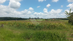 Fazenda/Sítios/Chácaras de 26000m² no bairro Área Rural De Piratininga, em Piratininga | Eu Corretor