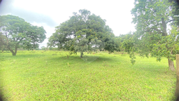Fazenda/Sítios/Chácaras de 20000m² no bairro Sítio Recreio São Judas Thadeu, em Lençóis Paulista | Eu Corretor