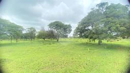 Fazenda/Sítios/Chácaras de 20000m² no bairro Sítio Recreio São Judas Thadeu, em Lençóis Paulista | Eu Corretor