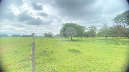 Fazenda/Sítios/Chácaras de 20000m² no bairro Sítio Recreio São Judas Thadeu, em Lençóis Paulista | Eu Corretor