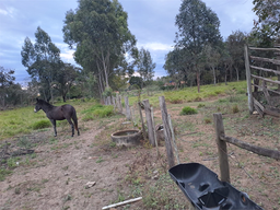 Fazenda/Sítios/Chácaras de 3 quartos, 24200m² no bairro Área Rural De Lençóis Paulista, em Lençóis Paulista | Eu Corretor