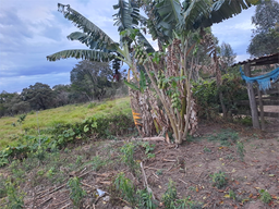 Fazenda/Sítios/Chácaras de 3 quartos, 24200m² no bairro Área Rural De Lençóis Paulista, em Lençóis Paulista | Eu Corretor