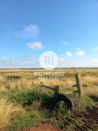 Fazenda/Sítios/Chácaras de no bairro Zona Rural, em São Vicente do Sul | Eu Corretor
