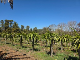Fazenda/Sítios/Chácaras de 2 quartos, no bairro BR 460, em Lambari | Eu Corretor