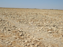 Fazenda/Sítios/Chácaras no bairro Zona rural, em Ipiranga do Norte | Eu Corretor