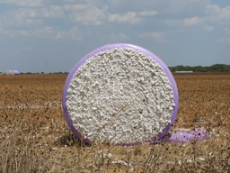Fazenda/Sítios/Chácaras no bairro Zona rural, em Ipiranga do Norte | Eu Corretor