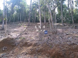 Lote/Terreno de 1500m² no bairro Albuquerque, em Teresópolis | Eu Corretor