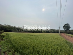 Fazenda/Sítios/Chácaras de 150m² no bairro Interior, em Não-Me-Toque | Eu Corretor