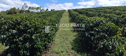 Fazenda/Sítios/Chácaras no bairro Fazenda de café com 120 hectares, em Mata Verde | Eu Corretor