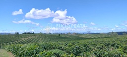 Fazenda/Sítios/Chácaras no bairro Fazenda de café com 120 hectares, em Mata Verde | Eu Corretor