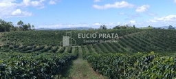 Fazenda/Sítios/Chácaras no bairro Fazenda de café com 120 hectares, em Mata Verde | Eu Corretor