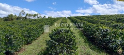 Fazenda/Sítios/Chácaras no bairro Fazenda de café com 120 hectares, em Mata Verde | Eu Corretor