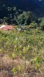 Fazenda/Sítios/Chácaras no bairro Sítio a venda 2 alqueires , em Colatina | Eu Corretor