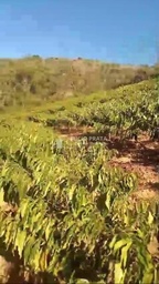 Fazenda/Sítios/Chácaras no bairro Sítio a venda 2 alqueires , em Colatina | Eu Corretor