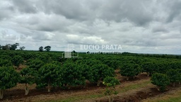 Fazenda/Sítios/Chácaras no bairro Fazenda 200 hectares Vila do Café, em Encruzilhada | Eu Corretor