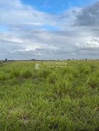 Fazenda/Sítios/Chácaras no bairro Fazenda 97 hectares café , em Montanha | Eu Corretor