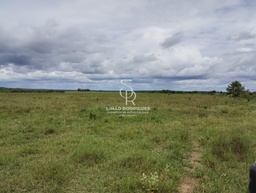 Fazenda/Sítios/Chácaras no bairro Zona Rural, a 15 km da cidade , em Brasnorte | Eu Corretor