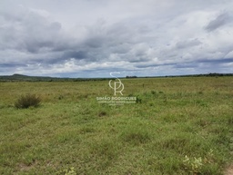 Fazenda/Sítios/Chácaras no bairro Zona Rural, a 15 km da cidade , em Brasnorte | Eu Corretor