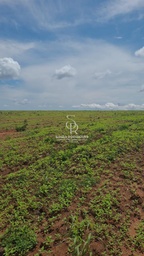 Fazenda/Sítios/Chácaras no bairro Zona Rural, em Nova Maringá | Eu Corretor