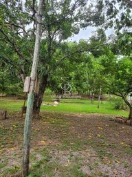 Fazenda/Sítios/Chácaras no bairro Coxipó do Ouro, em Cuiabá | Eu Corretor