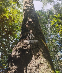 Fazenda/Sítios/Chácaras no bairro Coxipó do Ouro, em Cuiabá | Eu Corretor