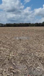 Fazenda/Sítios/Chácaras no bairro Sítio 4 alqueires , em São Mateus | Eu Corretor