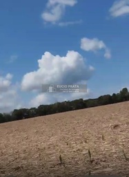 Fazenda/Sítios/Chácaras no bairro Sítio 4 alqueires , em São Mateus | Eu Corretor