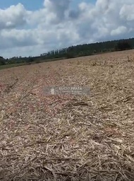Fazenda/Sítios/Chácaras no bairro Sítio 4 alqueires , em São Mateus | Eu Corretor