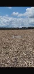 Fazenda/Sítios/Chácaras no bairro Sítio 4 alqueires , em São Mateus | Eu Corretor