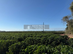 Fazenda/Sítios/Chácaras no bairro Sítio a Venda 36 hectares , em Boa Esperança | Eu Corretor