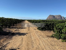 Fazenda/Sítios/Chácaras no bairro Sítio a Venda 36 hectares , em Boa Esperança | Eu Corretor