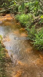 Fazenda/Sítios/Chácaras no bairro Sítio 18 alqueires , em Pancas | Eu Corretor