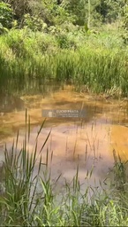 Fazenda/Sítios/Chácaras no bairro Sítio 18 alqueires , em Pancas | Eu Corretor