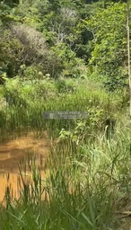 Fazenda/Sítios/Chácaras no bairro Sítio 18 alqueires , em Pancas | Eu Corretor
