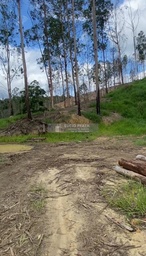 Fazenda/Sítios/Chácaras no bairro Sítio 18 alqueires , em Pancas | Eu Corretor