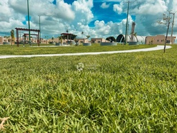 Lote/Terreno no bairro Cidade Nova, em Estância | Eu Corretor