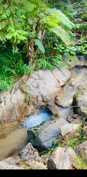 Fazenda/Sítios/Chácaras de 4m² no bairro Limeira Alta, em Brusque | Eu Corretor