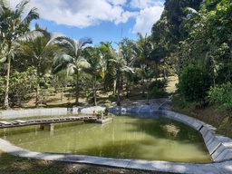 Fazenda/Sítios/Chácaras de 7 quartos, no bairro Botuvera, em Botuverá | Eu Corretor