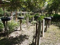 Fazenda/Sítios/Chácaras de 7 quartos, no bairro Botuvera, em Botuverá | Eu Corretor