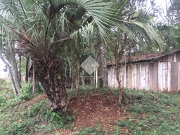 Fazenda/Sítios/Chácaras de 12104m² no bairro Área Rural de Chapecó, em Chapecó | Eu Corretor