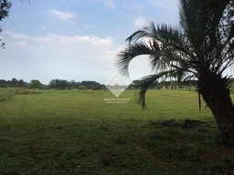 Fazenda/Sítios/Chácaras de 12104m² no bairro Área Rural de Chapecó, em Chapecó | Eu Corretor