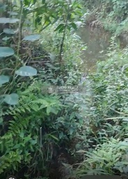 Fazenda/Sítios/Chácaras no bairro VÍDEO ABAIXO , em Teixeira de Freitas | Eu Corretor