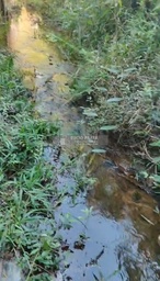 Fazenda/Sítios/Chácaras no bairro VÍDEO ABAIXO , em Teixeira de Freitas | Eu Corretor